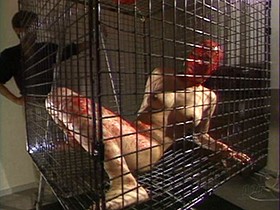 泣き尻奴隷牝＋乱らんまい舞’95　サンプル画像04